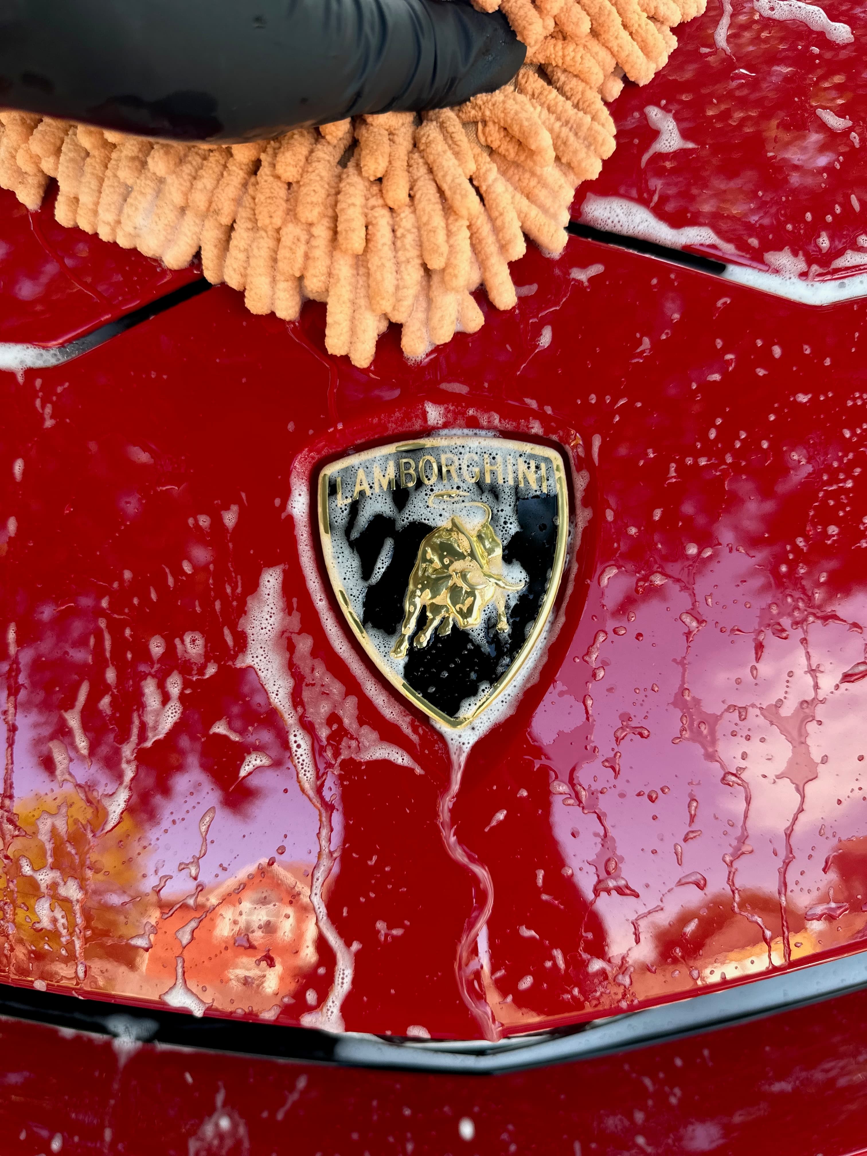 Lamborghini detail